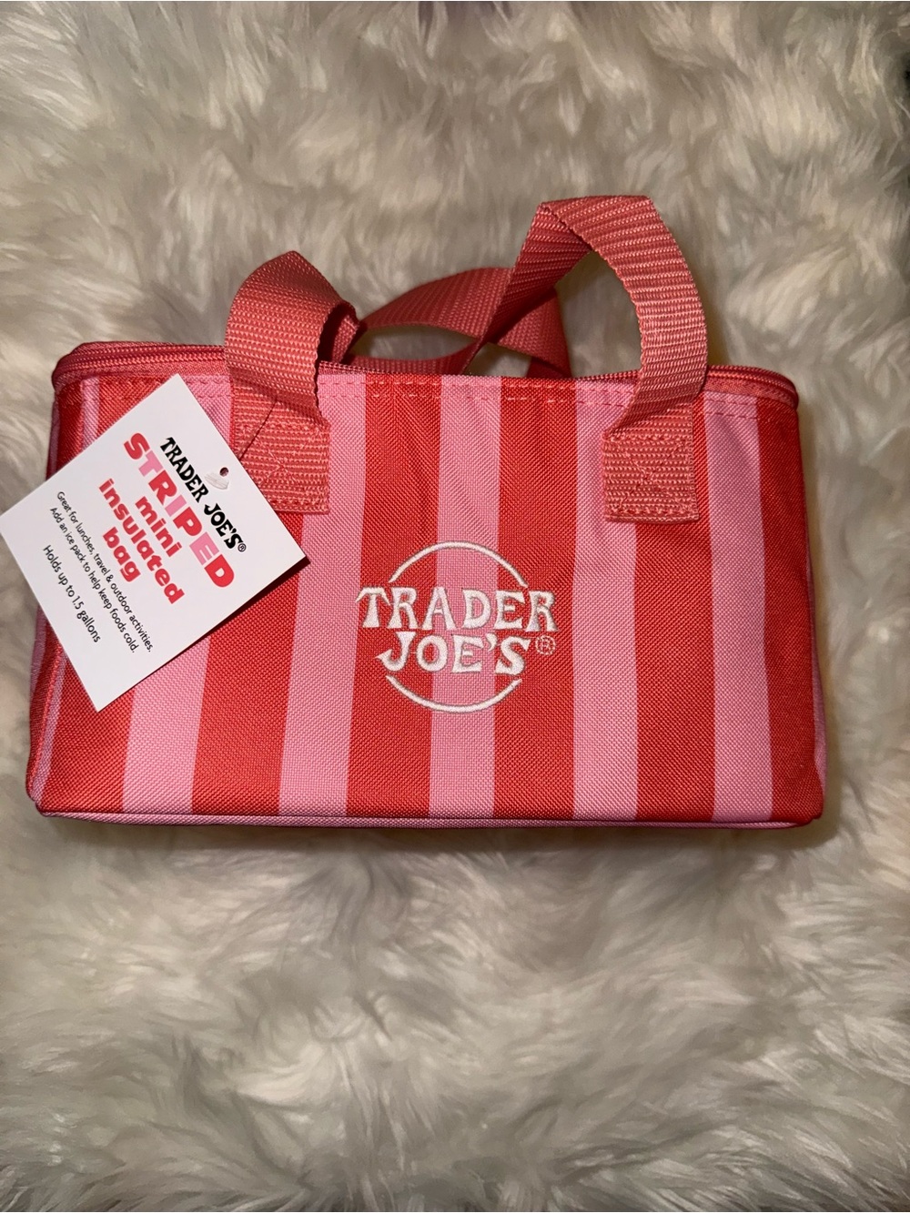 OFFER - NWT 🎀 Trader Joe's Pink & Red Striped Mini Tote